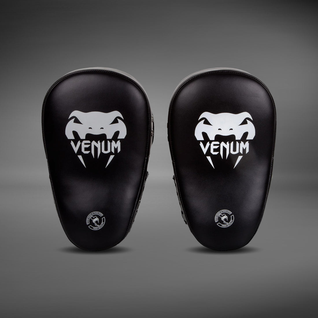Venum Big Focus Mitts
